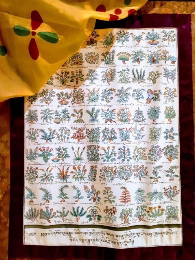 B&B Saluzzo Paesana 1718 トリノ エクステリア 写真